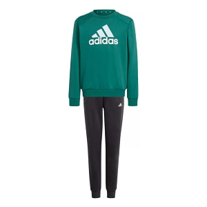 Trening pentru copii Adidas Sportswear, J BL FL TS, Verde, 164