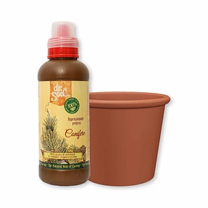 Substrat pentru ingrijirea coniferelor cu ingrasamant organic pentru conifere si ghiveci din teracota cu diametrul de 39cm