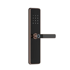 Incuietoare inteligenta DacEnergy, aplicatie telefon, amprenta, parola, card si cheie, Wifi, Bluetooth, Tuya Smart TT Lock, de inalta securitate