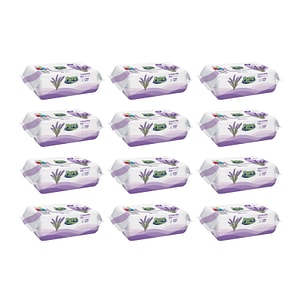 Set servetele umede Pure, 12 pachete x 120 buc, Lavanda