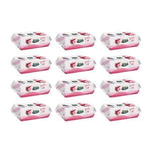Set servetele umede Pure, 12 pachete x 120 buc, Trandafir
