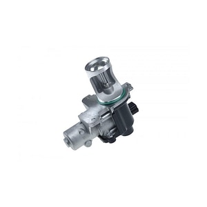 EGR NTY, pentru Volkswagen Passat B5 1996-2005 038131501AD