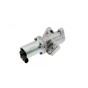 EGR NTY, pentru Hyundai H1 2007- 22307
