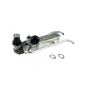 EGR NTY, pentru Volkswagen Polo 2017, AW1,BZ1 03L131512AN