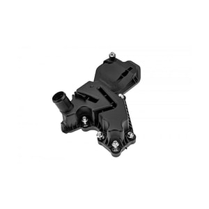 Filtru epurator Ford Kuga II 2013-> DM2 BM5G-6A785-BD
