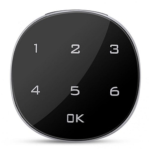 Incuietoare Inteligenta Techstar, Touch Screen Digital, 20mm, Alarma, Cod, Alimentare CR2023 si MicroUSB