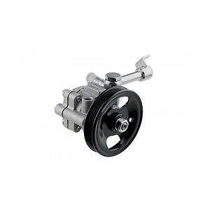 Pompa servodirectie NTY, pentru Nissan Pathfinder III 2005- R51 49110-3X01A