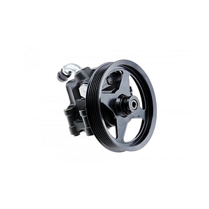 Pompa servodirectie NTY, pentru Ford Explorer 3 2000-2005 295960