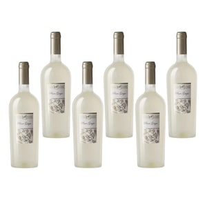 Vin Alb Sec Tenuta Ulisse Pinot Grigio Premium 13%, 6 x 0.75L
