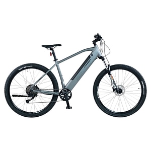 Bicicleta electrica Corwin 29223, 29 inch, L, Gri