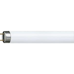 Tub fluorescent PHILIPS MASTER TL-D SUPER 80 15W/865 1SL/25, 15W, G13, 45.2cm, lumina rece