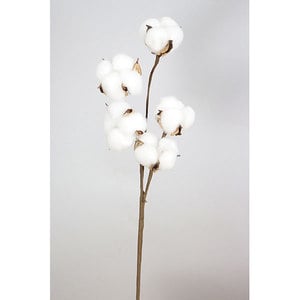 Planta naturala, bumbac, alb, H 43 cm