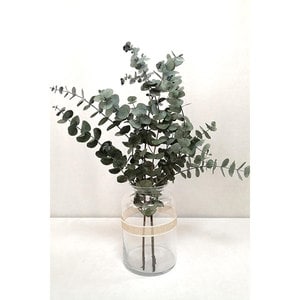 Buchet plante naturale, eucalipt, verde, H 50 cm