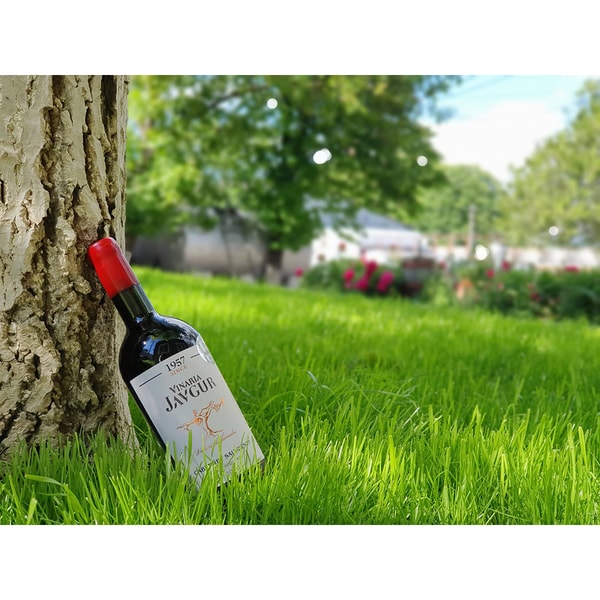 Vin rosu secc Vinaria Javgur Cabernet Sauvignon 2018, 0.75L
