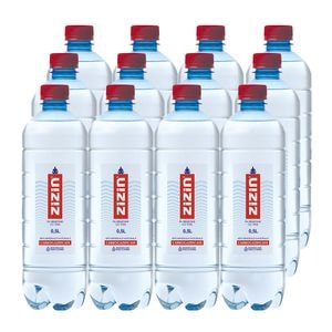 Apa minerala ZIZIN bax 0.5L x 12 sticle