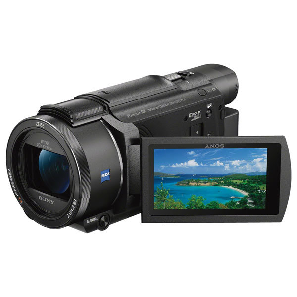 Bruise Bare fringe Camera video SONY HandyCam FDR-AX53, 4K, Wi-Fi, negru