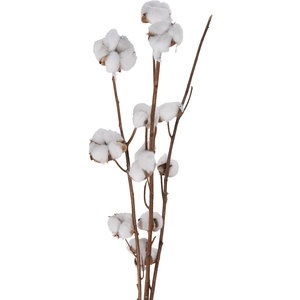 Buchet plante naturale, bumbac, maro-alb, H 90 cm