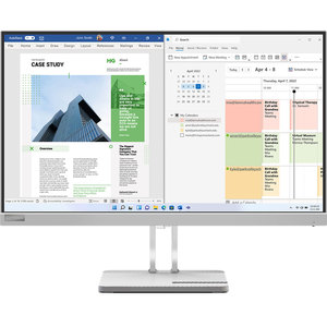 Monitor LED VA LENOVO L25e-40, 24.5", Full HD, 75 Hz, argintiu