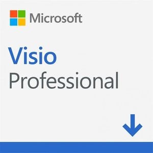 Microsoft Visio Professional 2024, Toate limbile, 1 PC, ESD