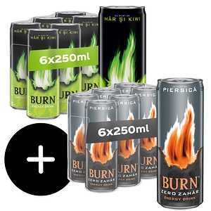 Bautura energizanta BURN Apple Kiwi bax 0.25L x 6 doze
