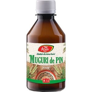 Sirop Muguri de Pin R12, 250 ml, FARES