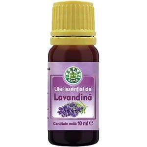 Ulei esential de Lavandina, 10 ml, HERBAVIT
