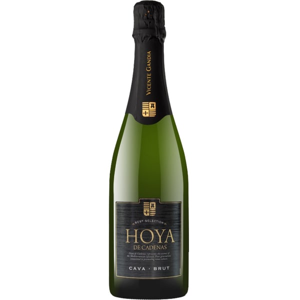 Vin spumant Cava alb Hoya De Cadenas Brut, 0.75L